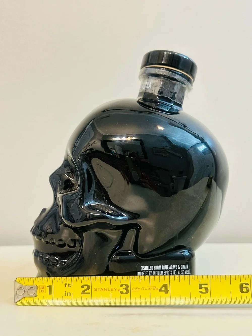 Crystal Skull Head Black Onyx Glass Decanter Bottle Decor (Empty)